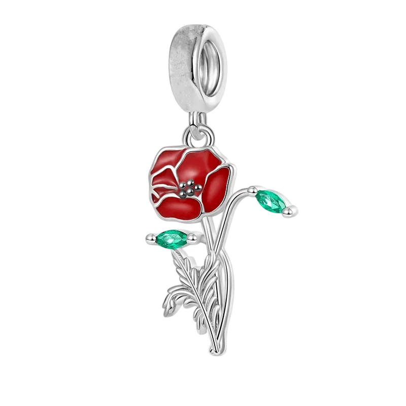 Charms colección rojo