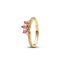 Anillo Aurora