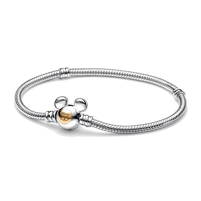 Pulsera Tipo Pandora para Charms